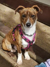 200_Jhayko-20260406-WA0002