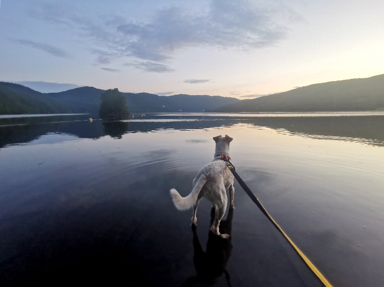 Edersee_20240622_215917