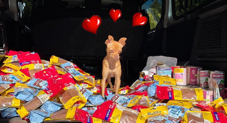 Fressnapf_IMG-20251014-WA0015