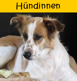 Hndinnen_02