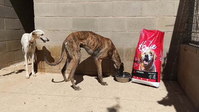 IMG-20260405-WA0005 IMG-20260405-WA0005