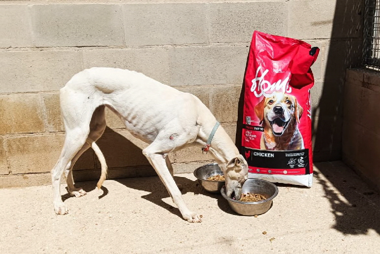 IMG-20260405-WA0007 IMG-20260405-WA0007