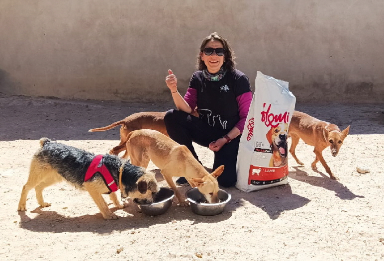 IMG-20260405-WA0019 IMG-20260405-WA0019