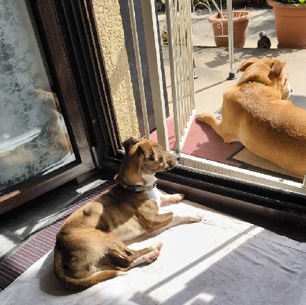 Jhayko-20260406-WA0001 Jhayko-20260406-WA0001