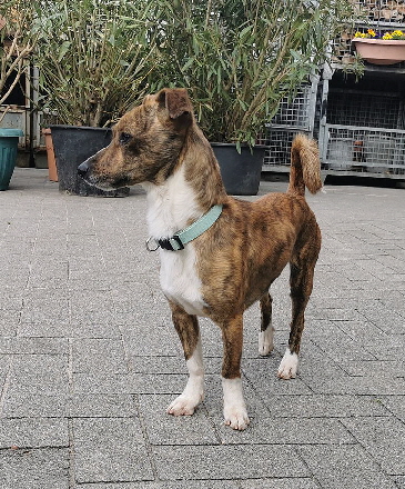 Jhayko_20260404_103703