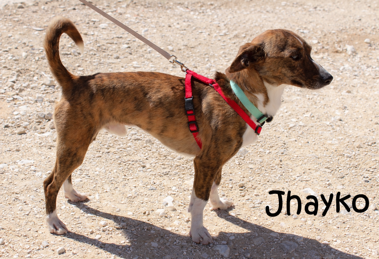 Jhayko_8389_mN Jhayko_8389_mN