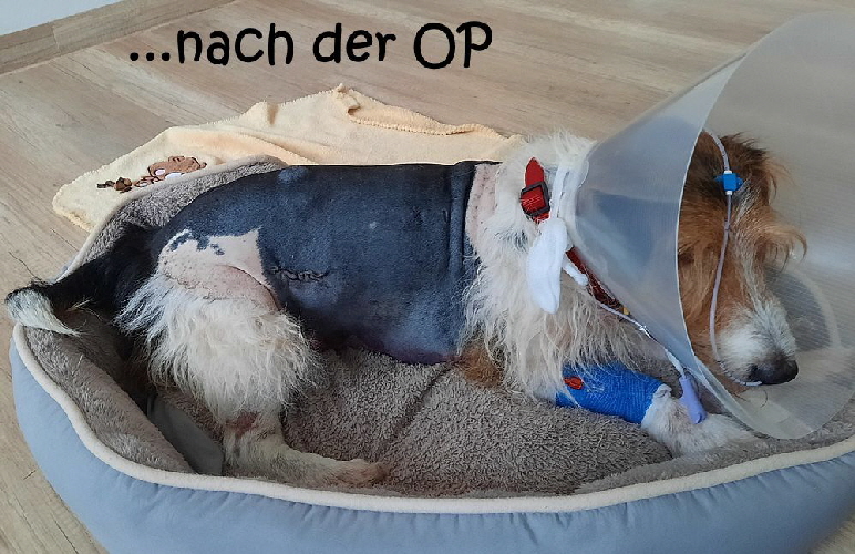 Paul_20251019_171952