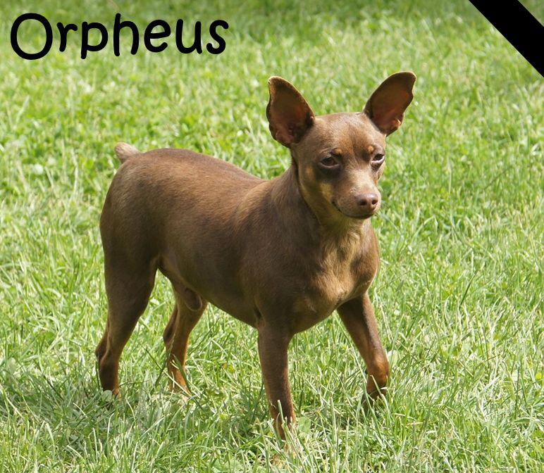 Pheusy_DSC03001_mN Pheusy_DSC03001_mN