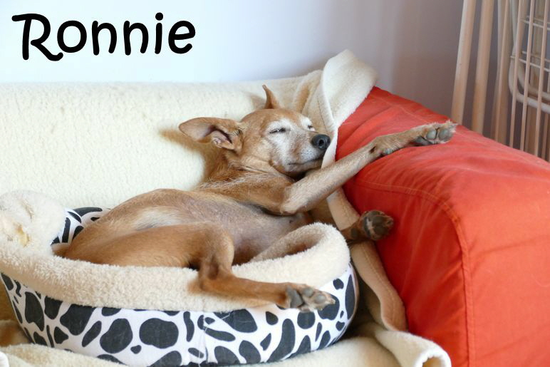 Ronnie_P1010075_mN
