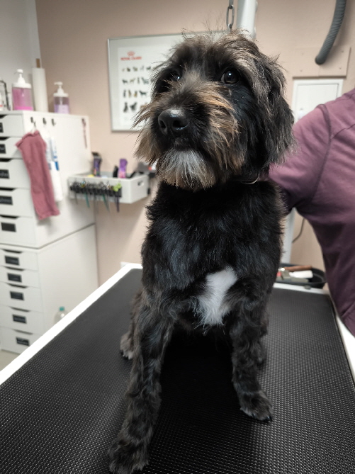 Sahara-20251220-WA0003